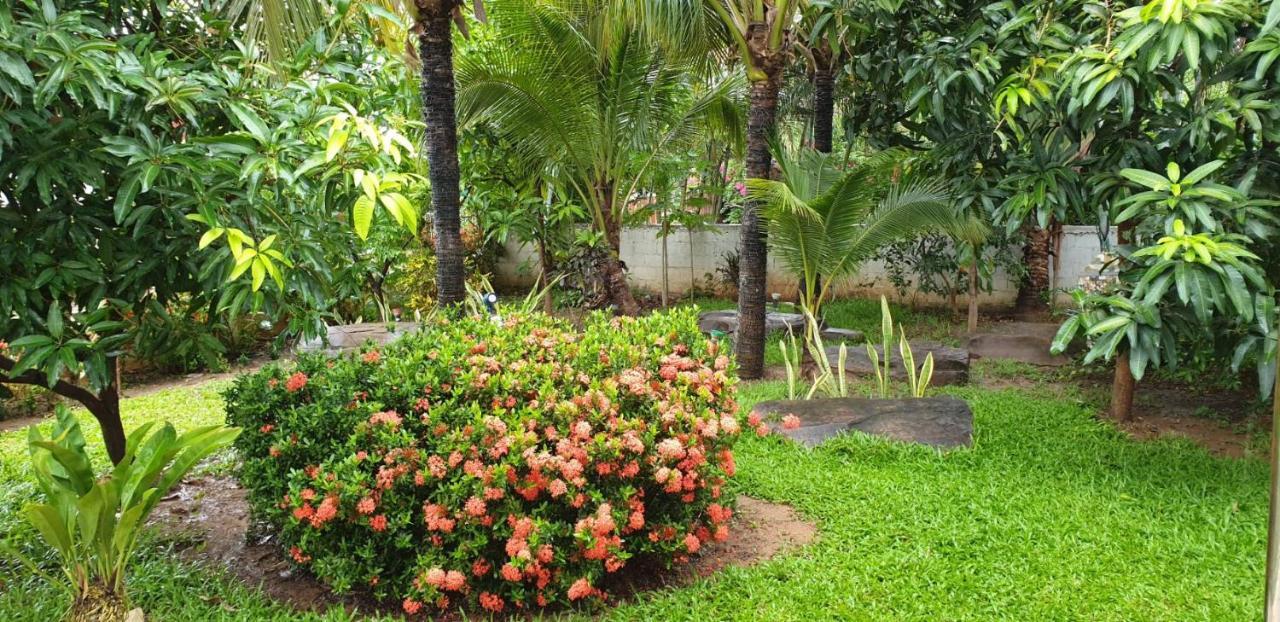 奴施的苹果住宿加早餐旅馆 Si Bun Ruang 外观 照片