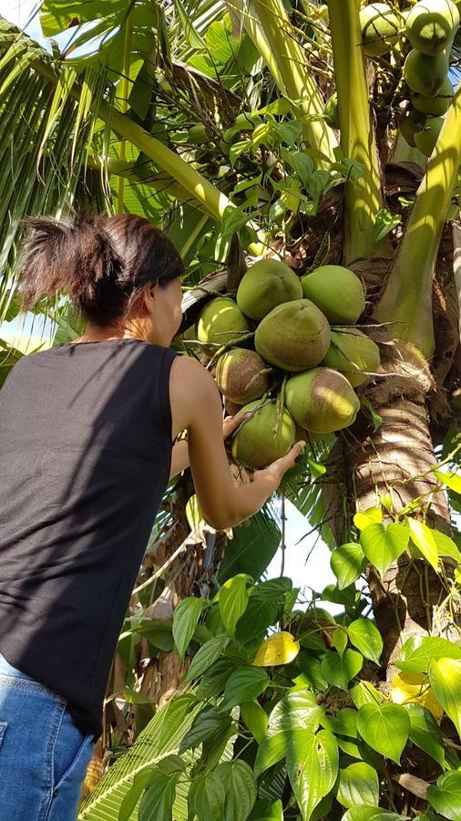 奴施的苹果住宿加早餐旅馆 Si Bun Ruang 外观 照片